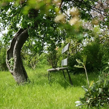 La Maison Du Vieux Pommier