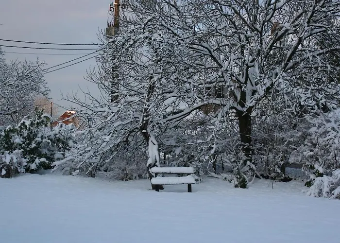 La Maison Du Vieux Pommier Vakantiehuis *
