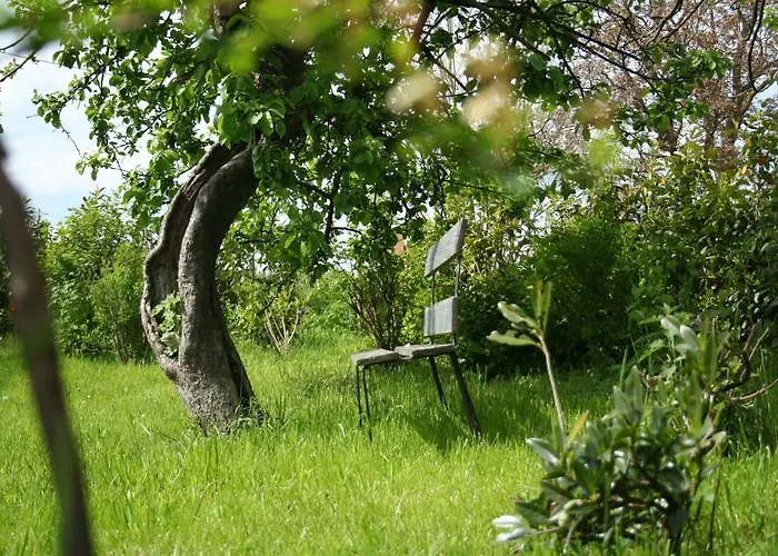 La Maison Du Vieux Pommier